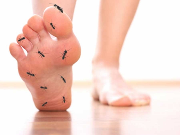 Salah Satu Gejala Sepert Kaki Kesemutan (Illustrasi)